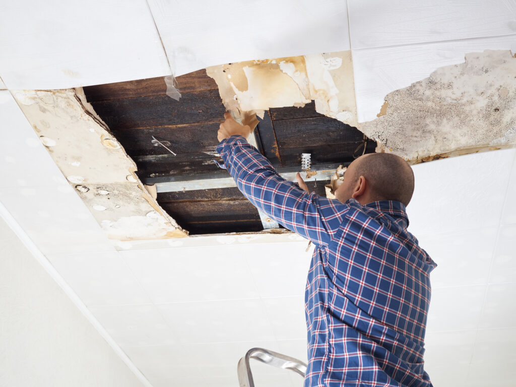 Common Causes of Water Damage in Residential Properties: Water Damage Restoration Tampa Guide