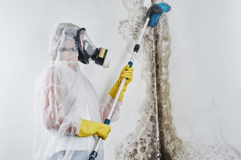 Mold Remediation & Removal